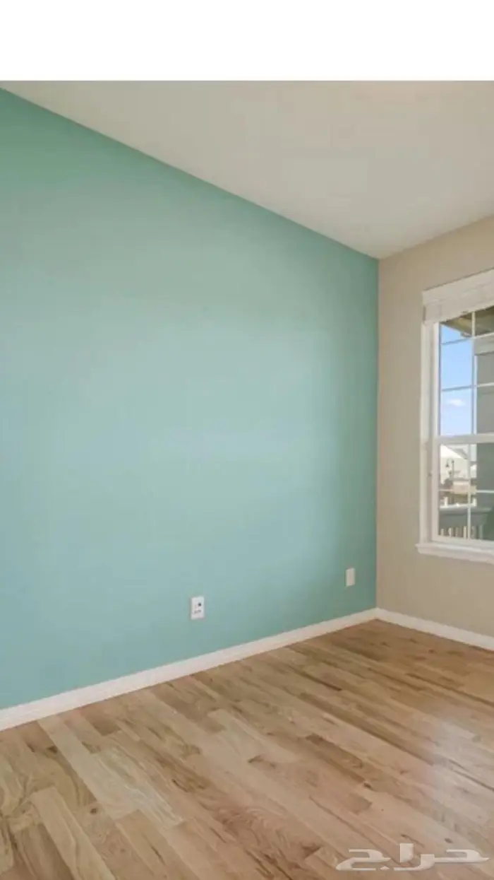 صباغ الاحساء 1