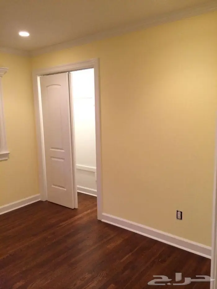 صباغ الاحساء 0