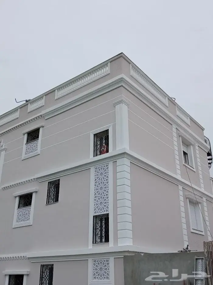 صباغ الاحساء 28