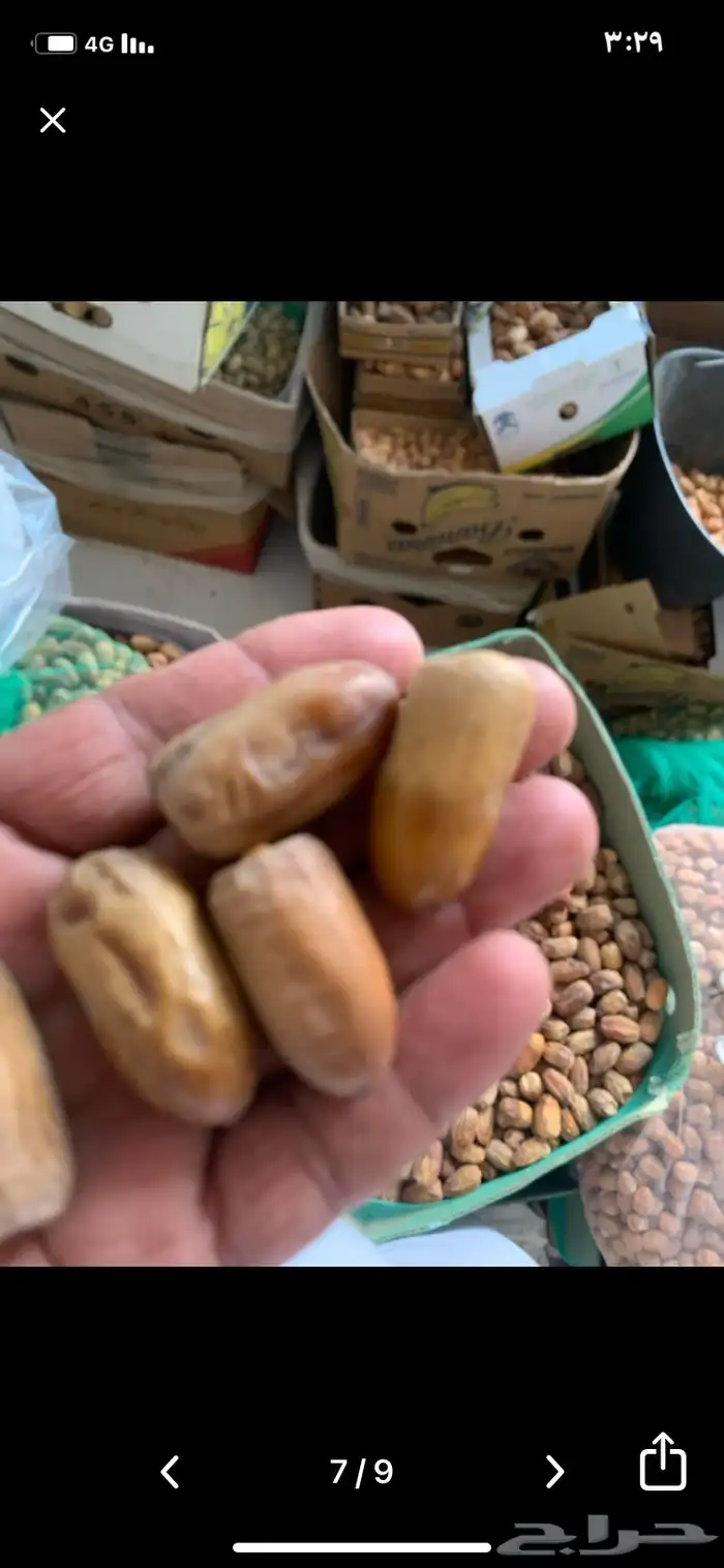 تمور نجران بياض ومواكل 7