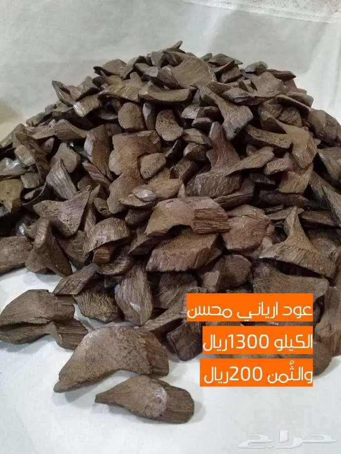 عود أرياني محسن 0