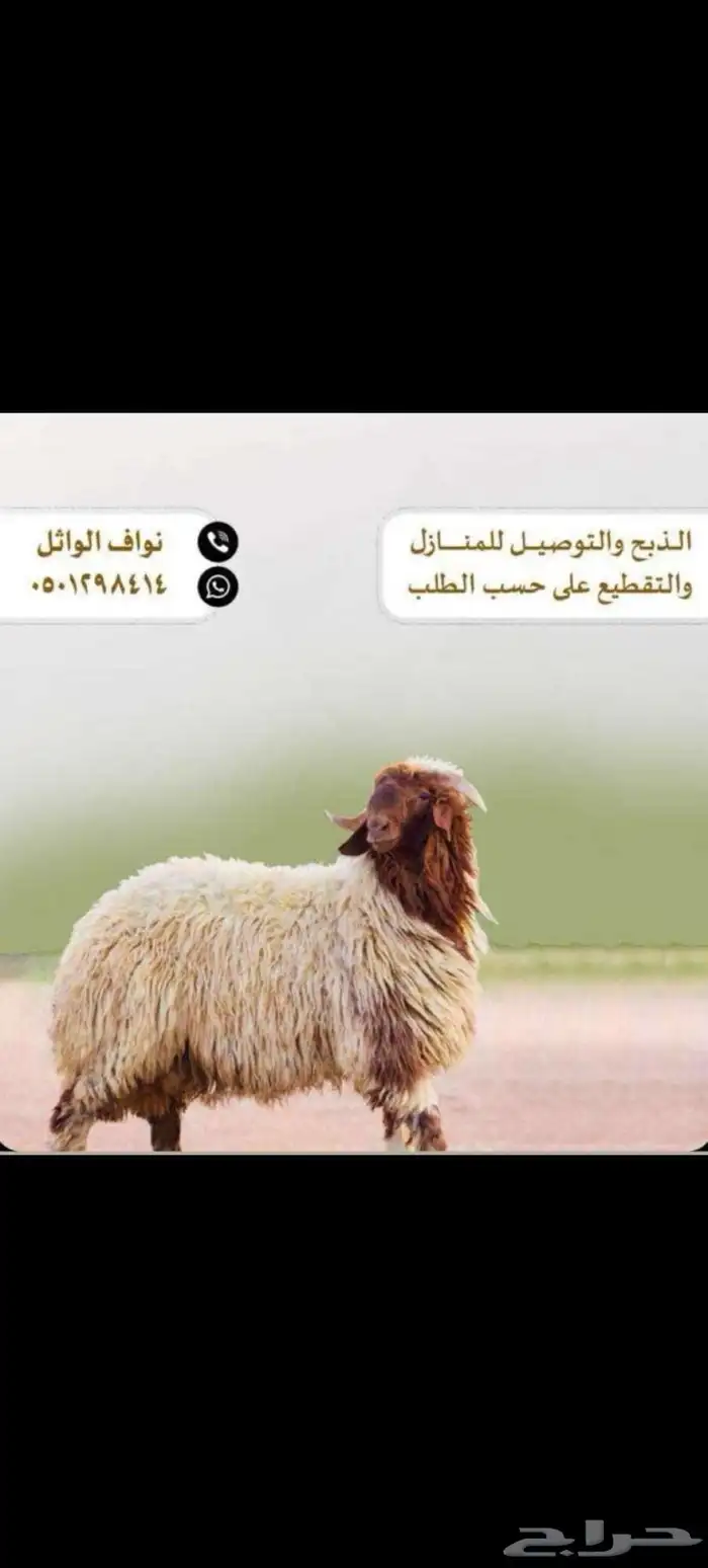 ذبيحتك لباب بيتك 2