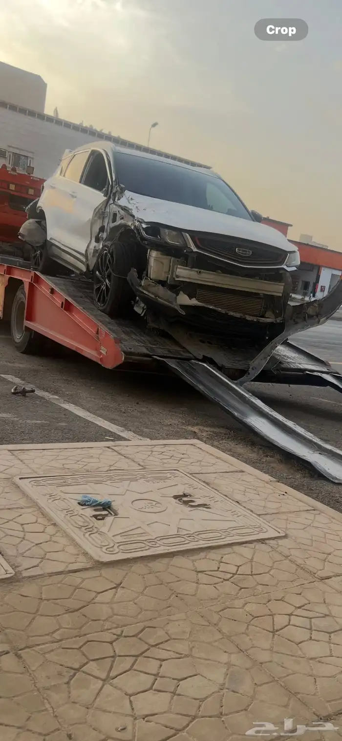 جيلي كولراي 2022 0