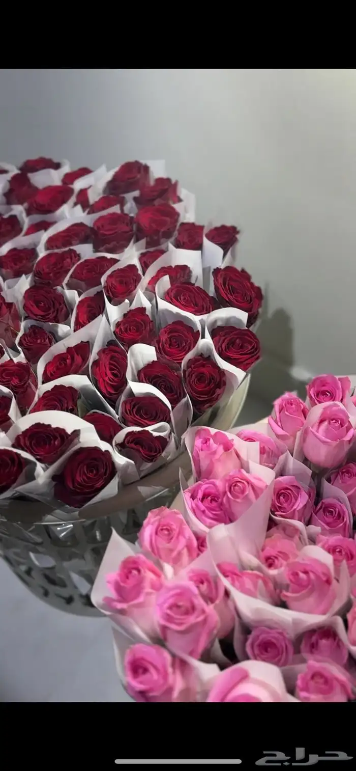 ورد طبيعي بالجمله - يوجد توزيعات للمناسبات 7