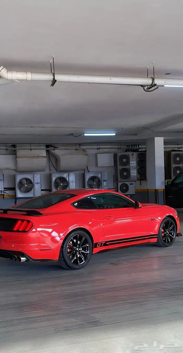 مباع مباع مباع موستنق V8لون جومانجو مباع مباع مباع 2