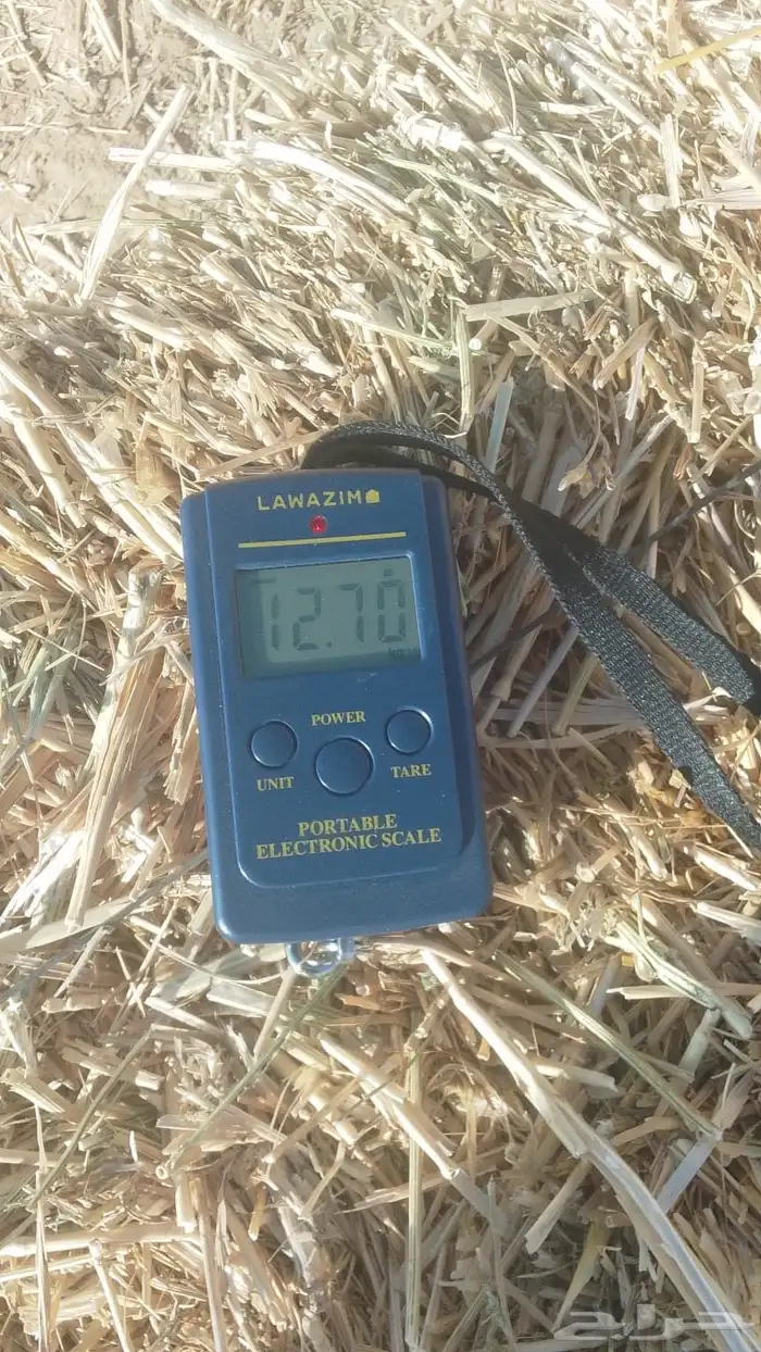 علف تبن بر الموسم 1