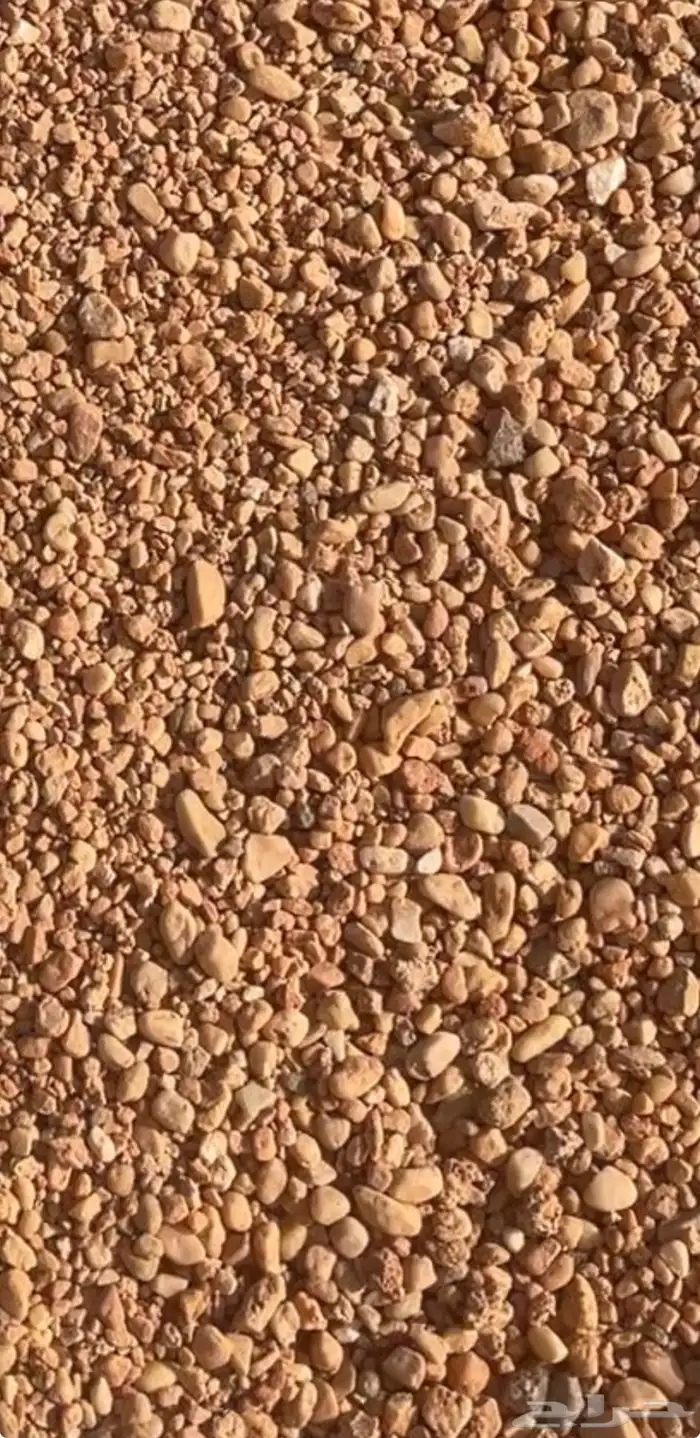 خرصان مرو حصم جميع الأنواع 4