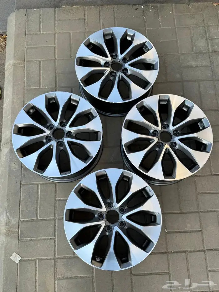 جنوط اكورد فل كامل 1