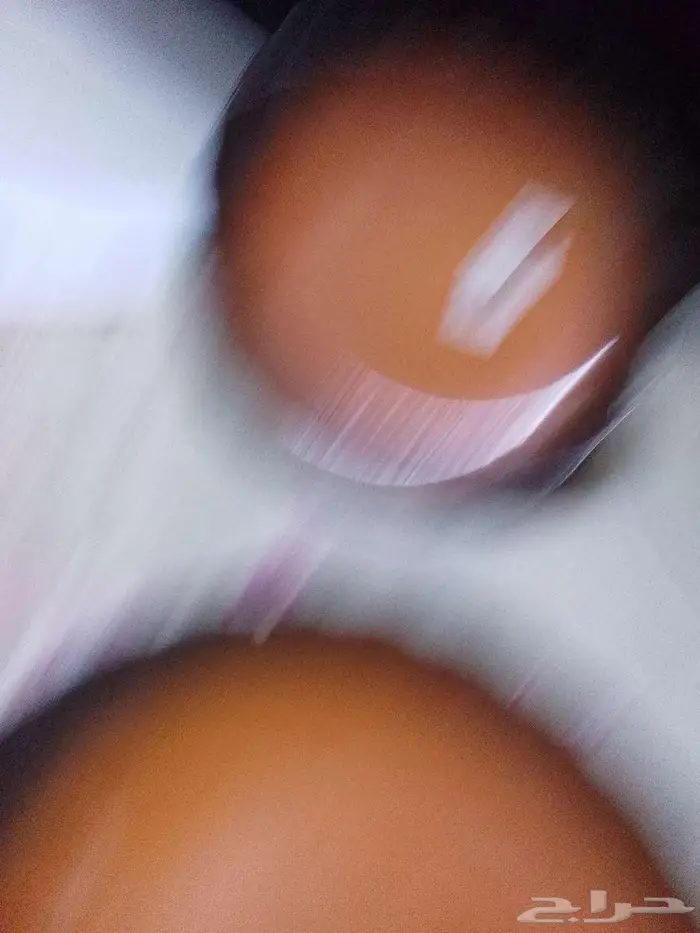 اغراض للبيع المستعجل 0
