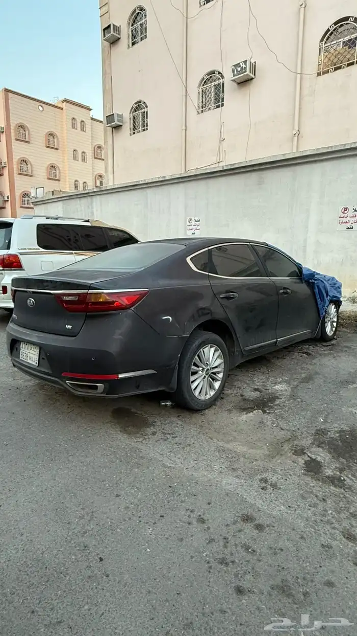 كادينزا 0