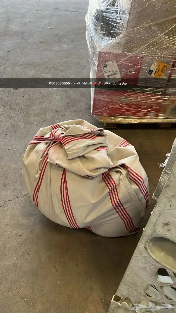 صرار حايل الحار بالترنج والشمندر عرض بمناسبة اليوم الوطني 3
