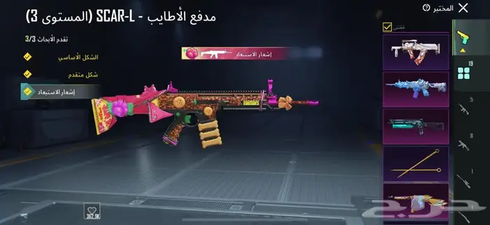 حائل 9