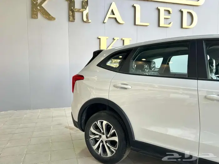 هافال جوليان استاندر 2024 16