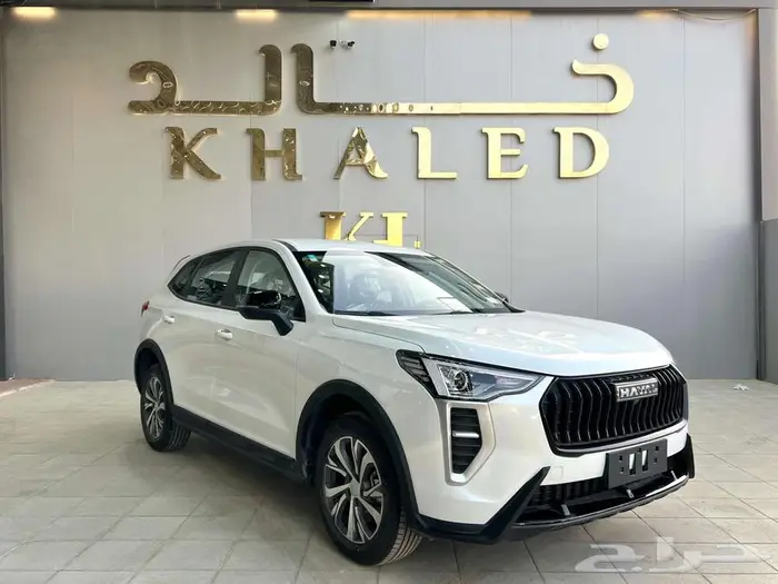 هافال جوليان استاندر 2024 0