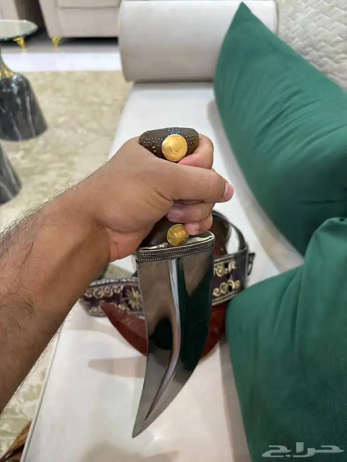 جنبيه زراف 2