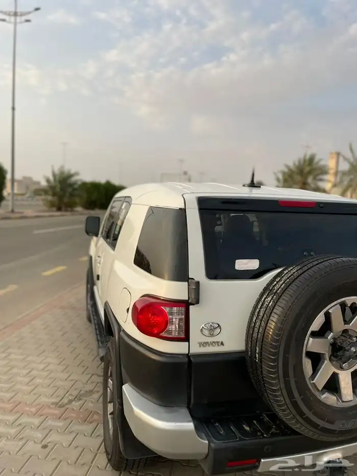 أفجي 2012 5
