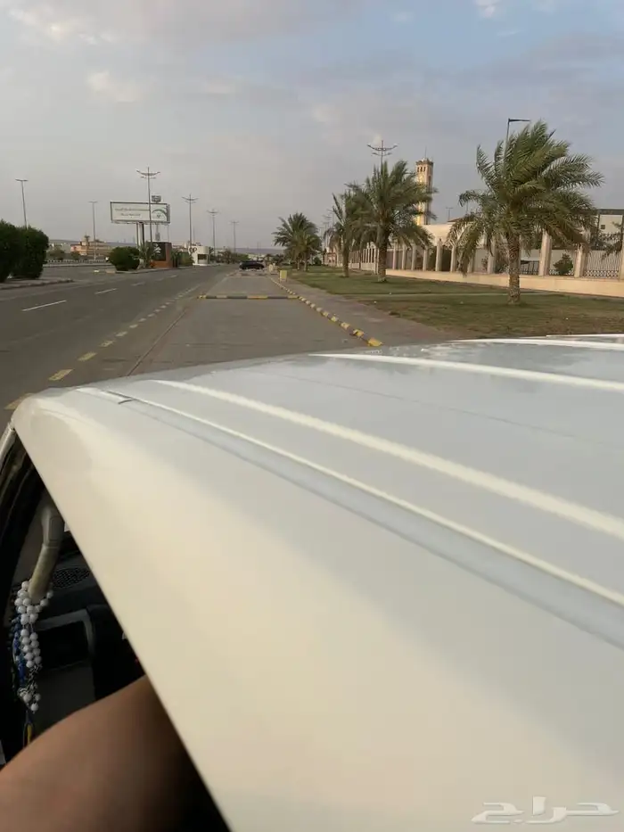 أفجي 2012 12