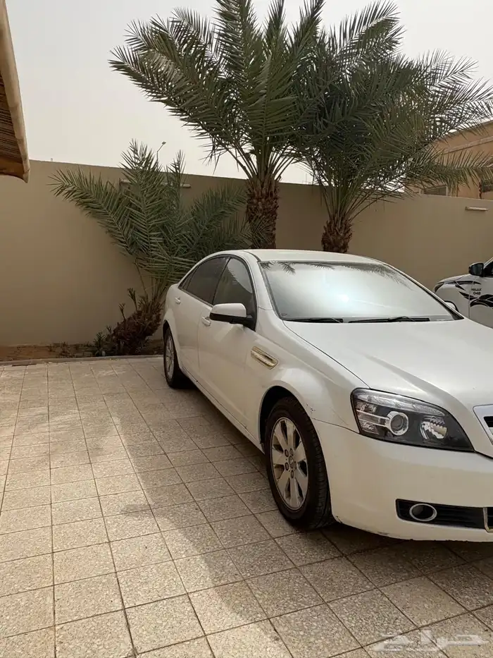 كابرس 2009 خليجي 1