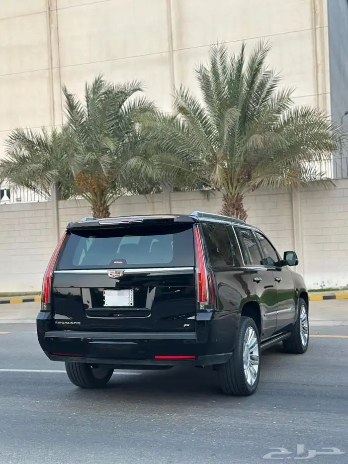 كاديلاك اسكاليد بلاتينيوم 2020 12