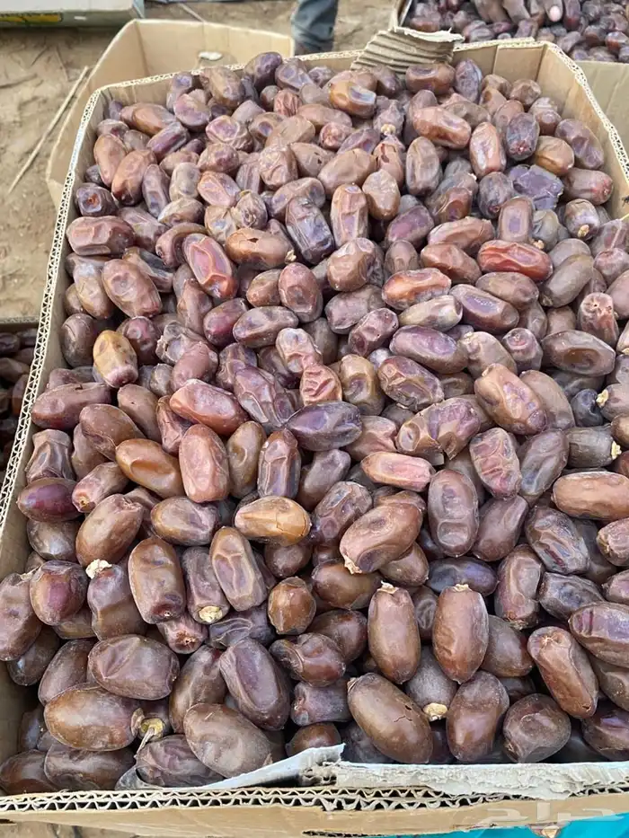 تمر سري للبيع في وادي الدواسر 1