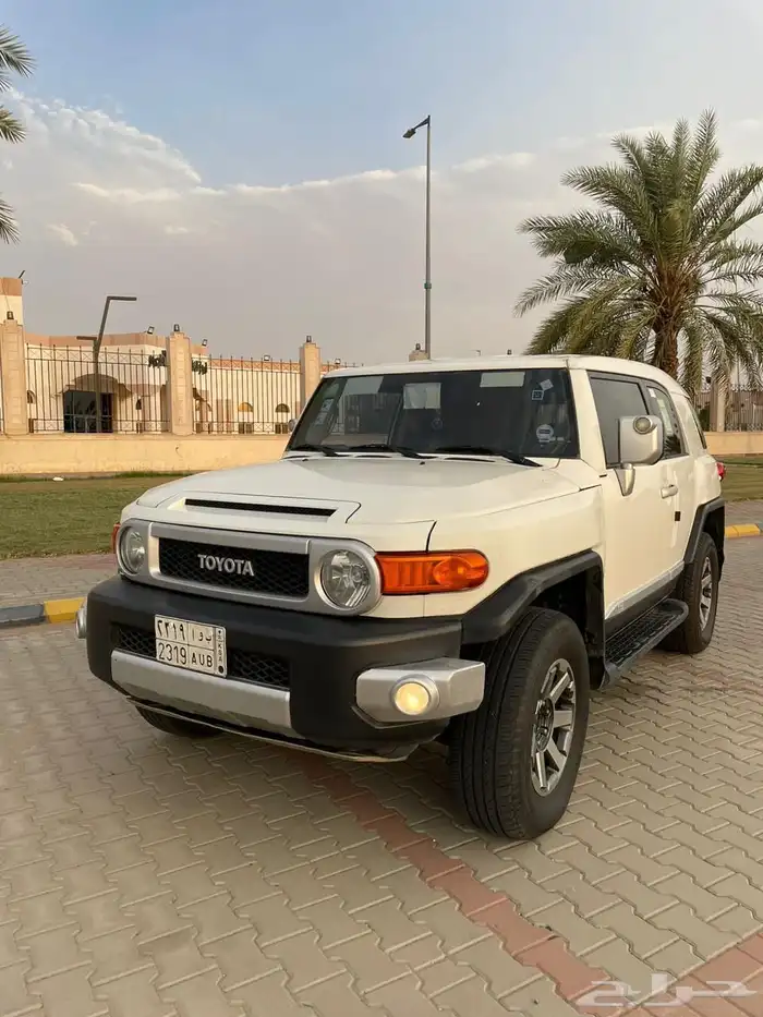أفجي 2012 3