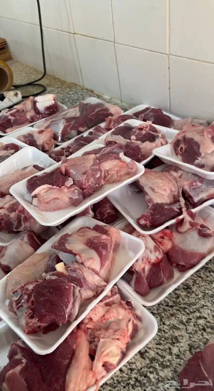 ذبايح نجد نعيمي حري سواكني مرابي تيوس مفاطيح وثلاجة 2