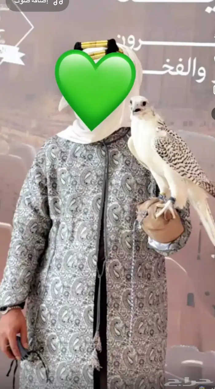 جير بيور طير 5