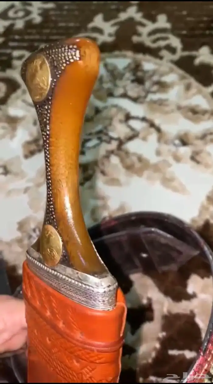 جنبيه زراف كفو مشروط 2