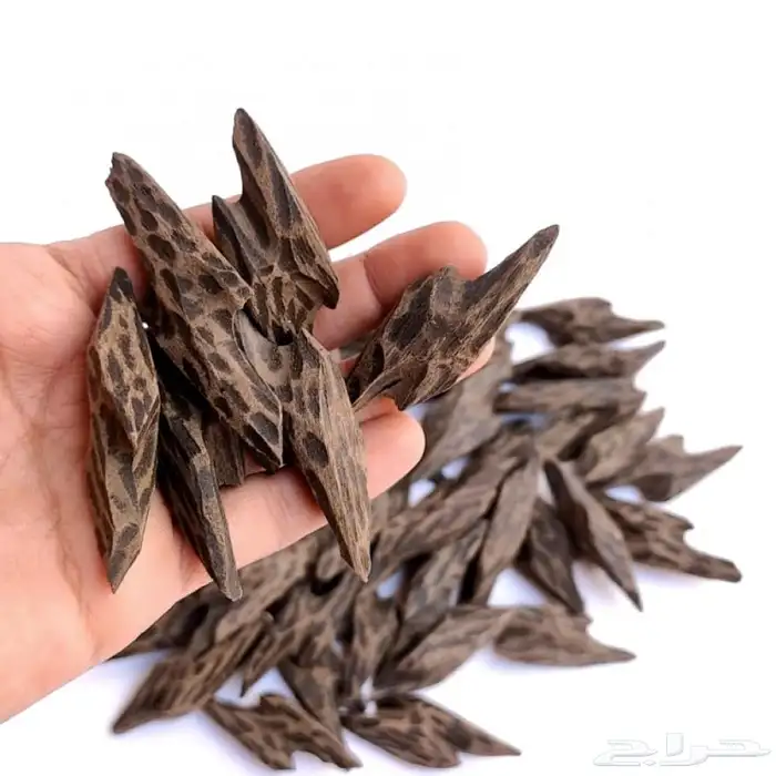 عرض عودة تايجر 3 اوقيات 120 ريال 0