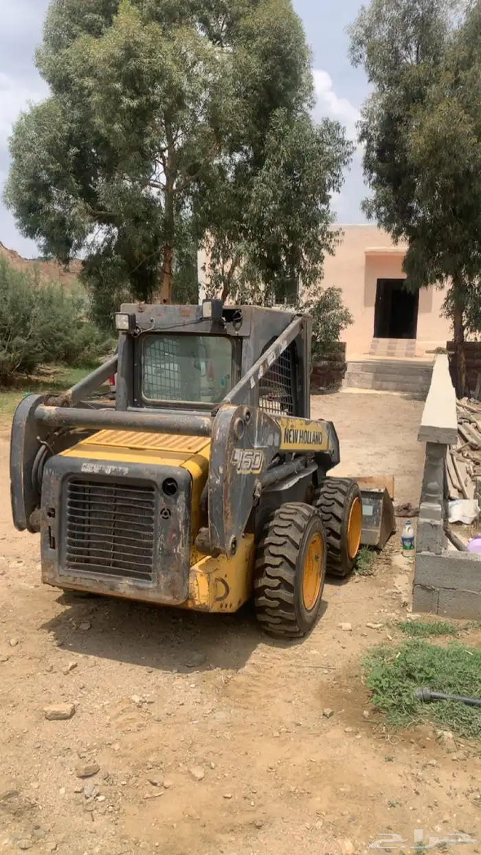 بوبكات امريكي نيهولند 4