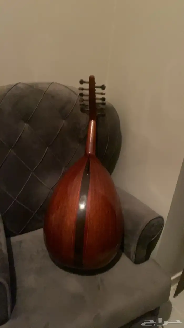عود مصري 1