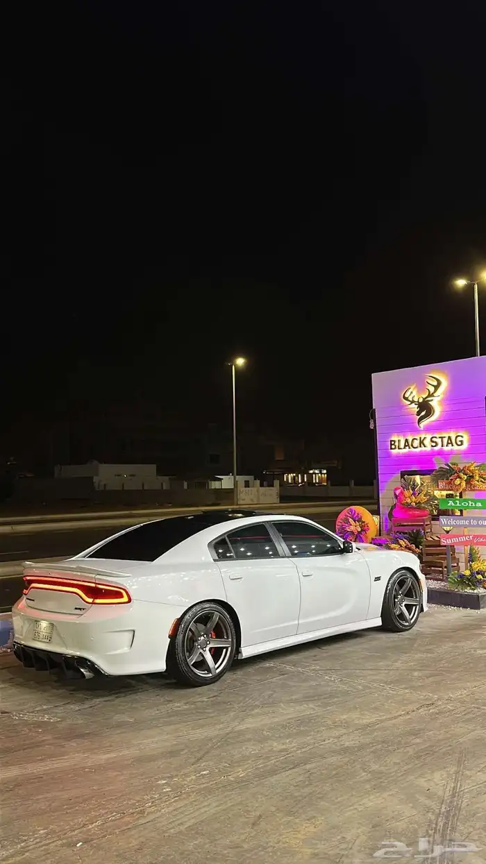 تشارجر rt 2016 6