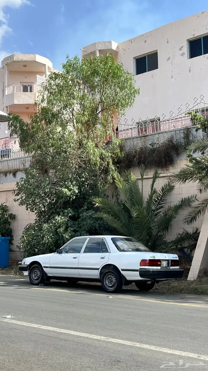 كرسيدا XL للبيع 3