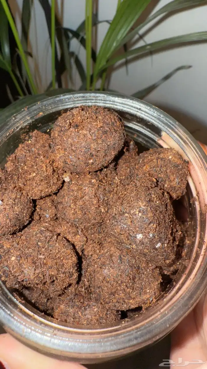 بخور دوسري اصلي يطول مايطفي بسرعه ولا يكتمك 0