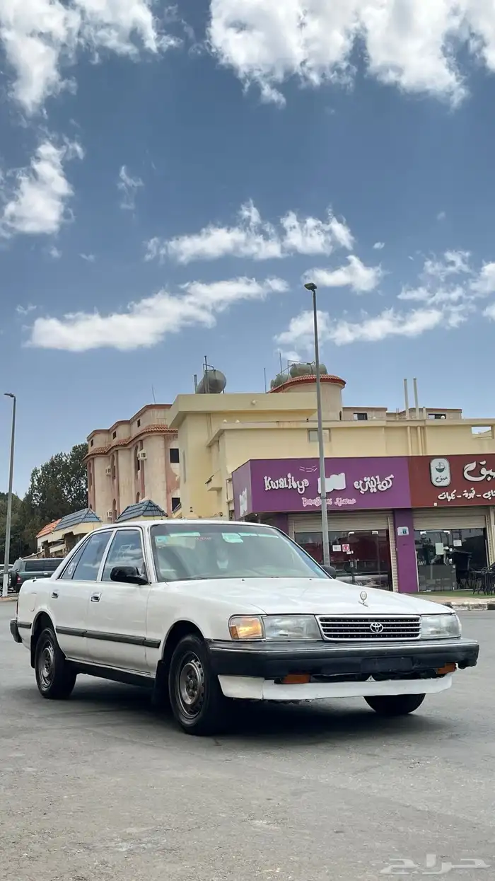 كرسيدا XL للبيع 7