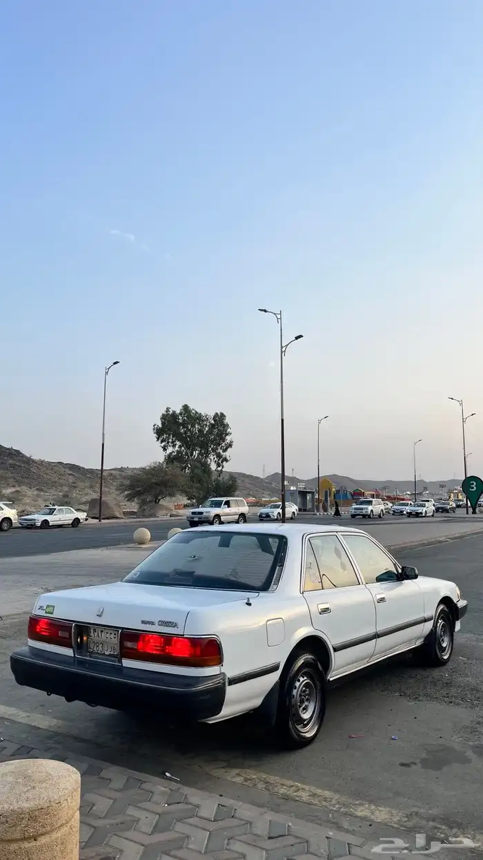 كرسيدا XL للبيع 8