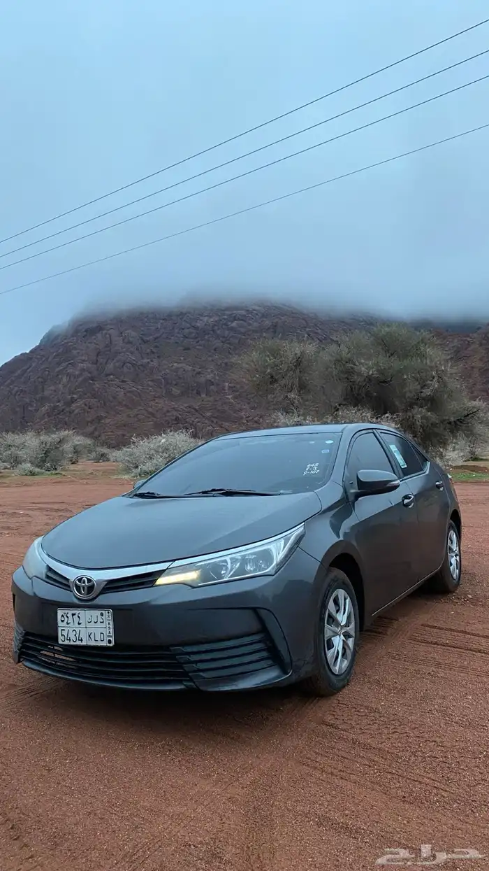 كورولا 2019 2