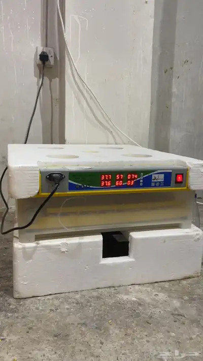 فقاسة عون المربي 98 بيضه index