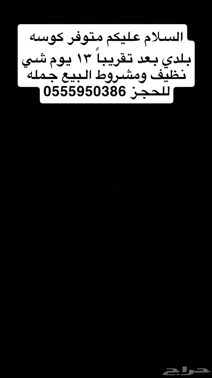 كوسه للبيع 0