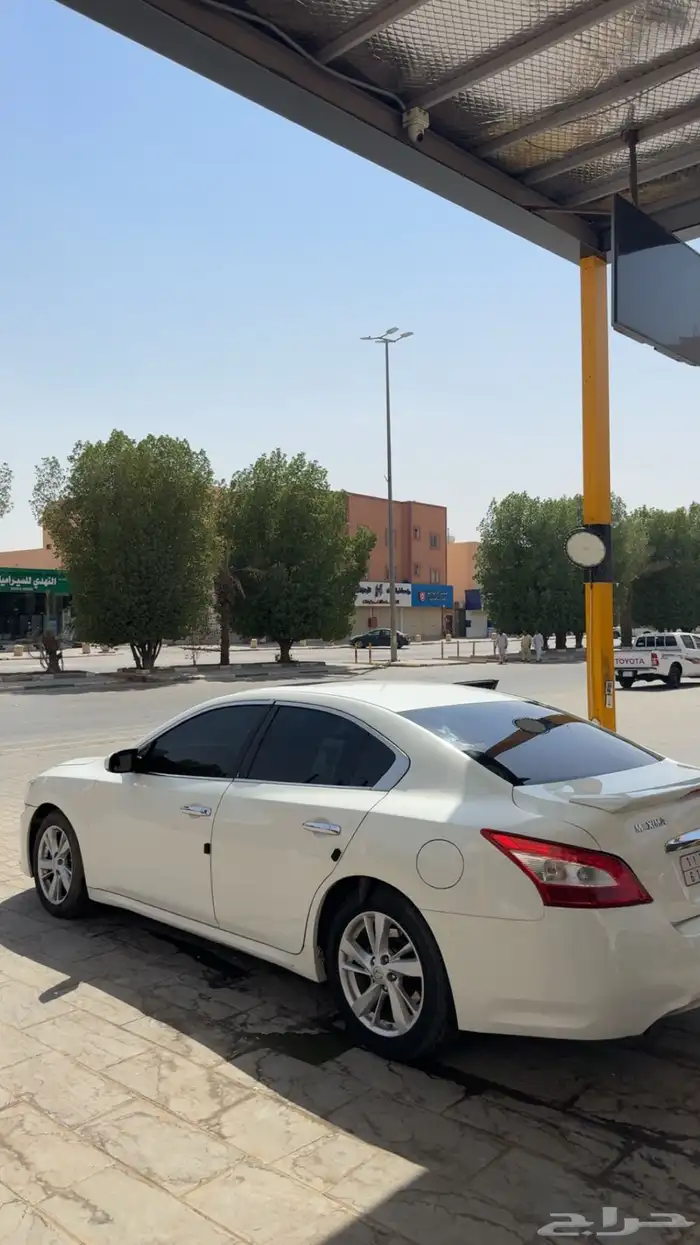 مكسيماء 2010 1