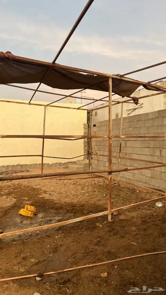 بايكة خيل 0