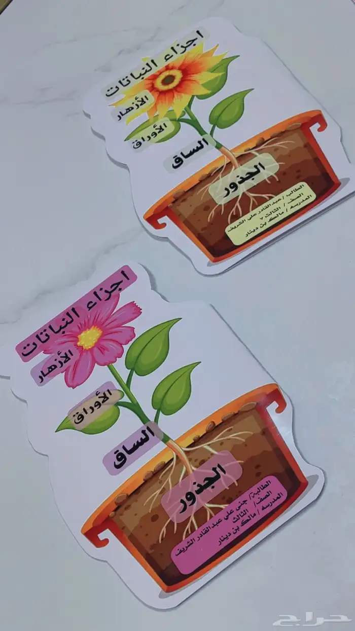 اجمل مطويات جاهزه وفارغه 25