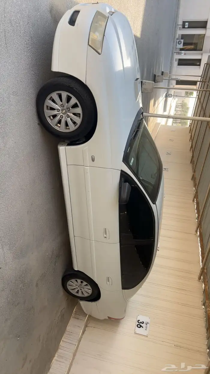 لومينا 12