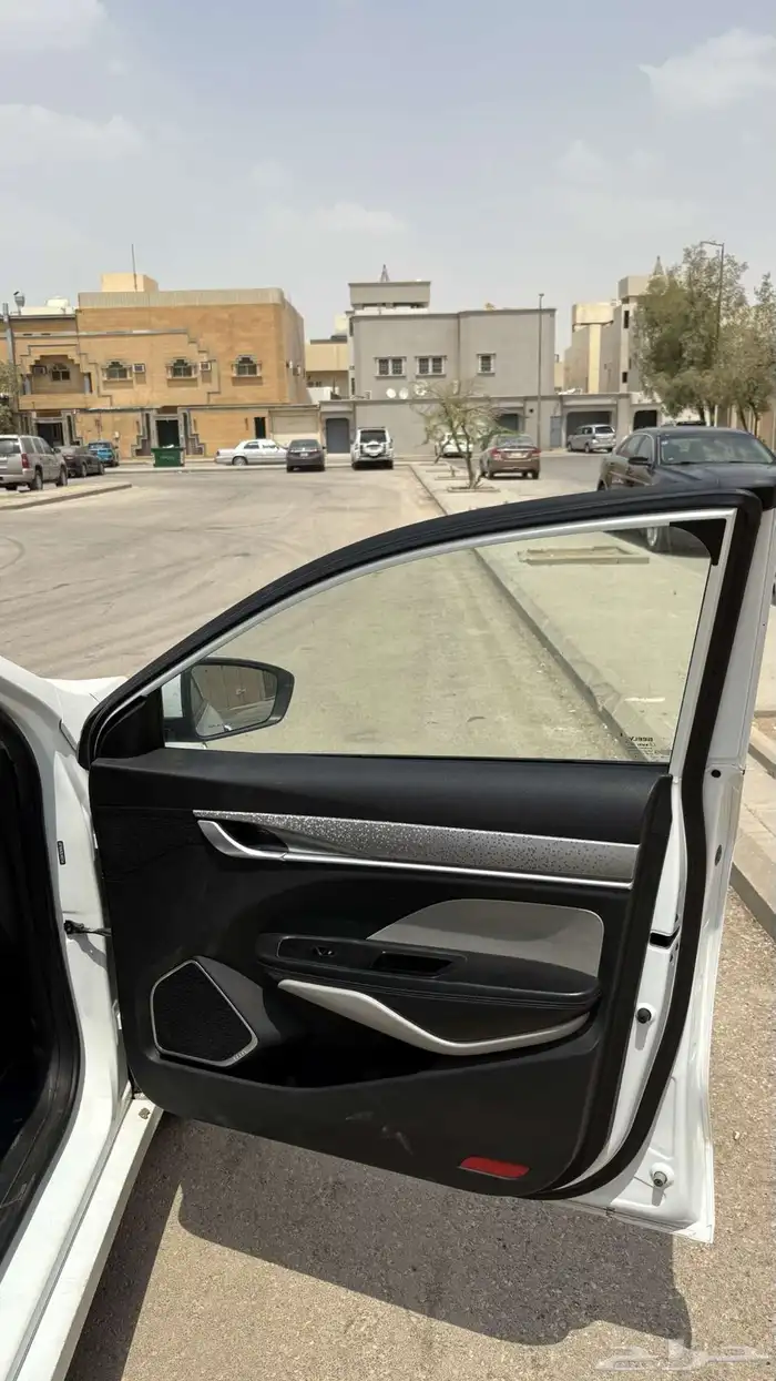 جيلي بينراي 2020 19
