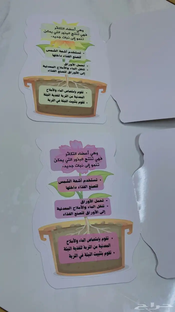 اجمل مطويات جاهزه وفارغه 27