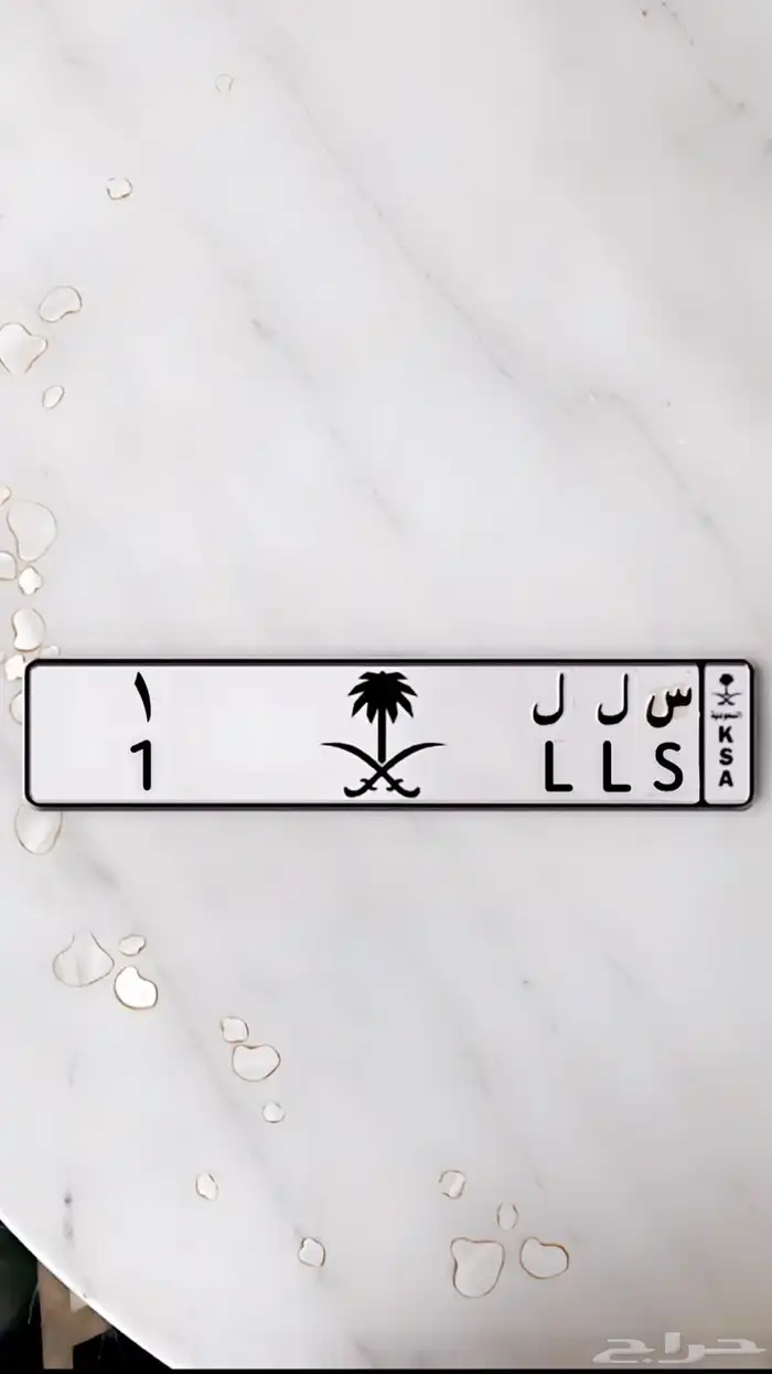 لوحة س ل ل - 1 للبيع 1