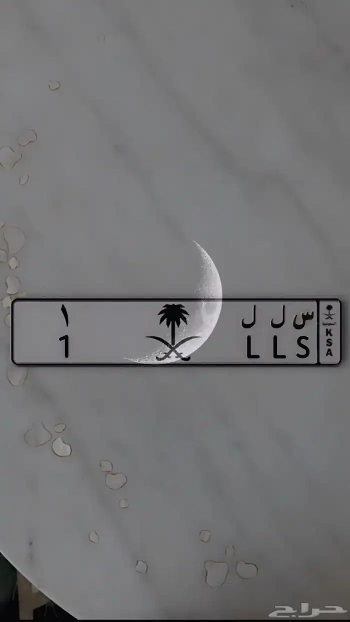 لوحة س ل ل - 1 للبيع 2