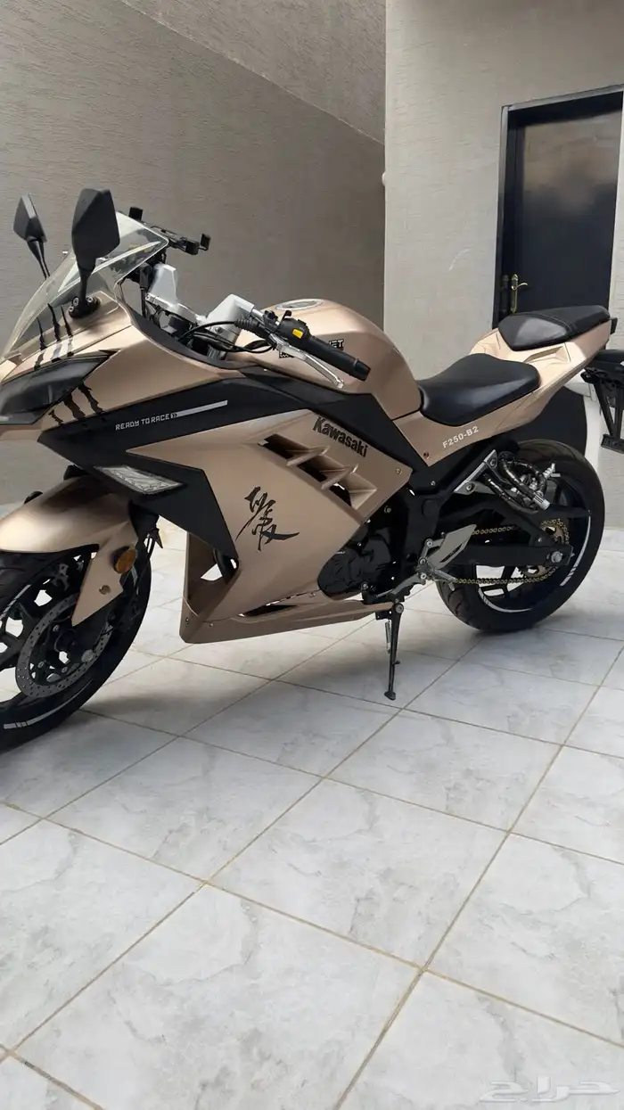 دباب ريس صيني ابو جبعا250cc 7