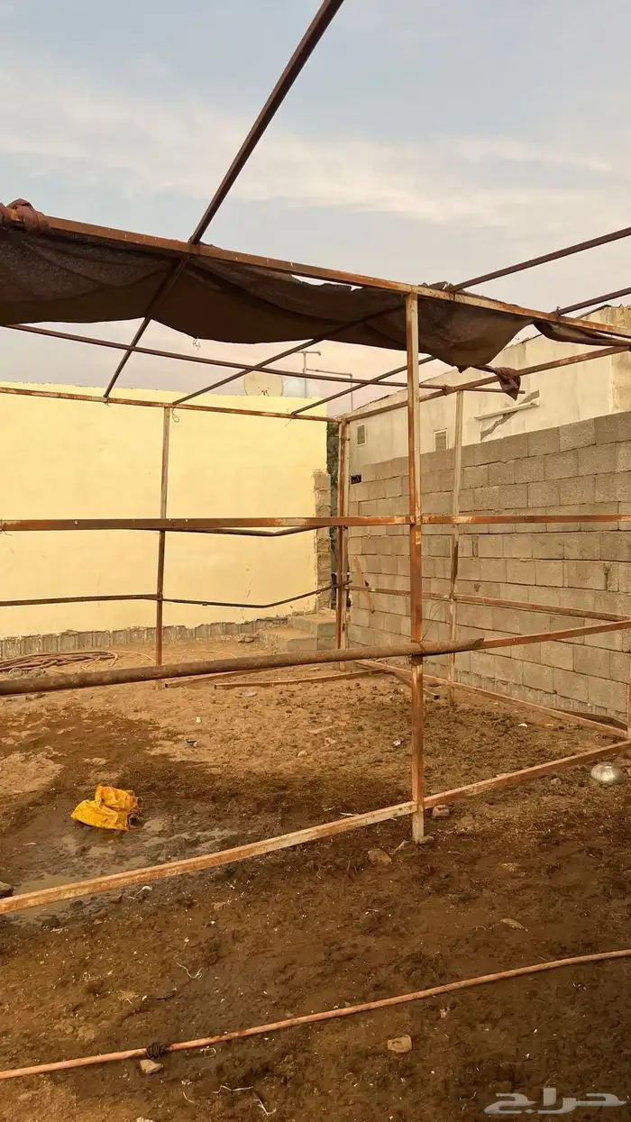 بايكة خيل 1