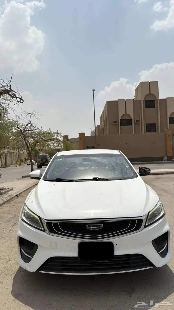 جيلي بينراي 2020 3